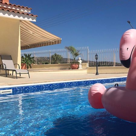 Peyia Palm Villa Paphos Eksteriør bilde